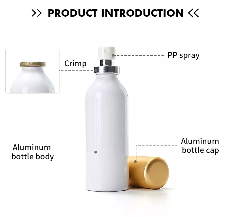 Wholesale Factory Empty Metal Aerosol Bottle Aluminium Aerosol Tin Can with Mist Spray